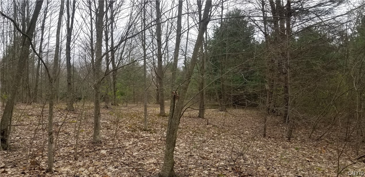 0 Doolittle Road Lockwood, NY 14859 - Photo 26 of 37