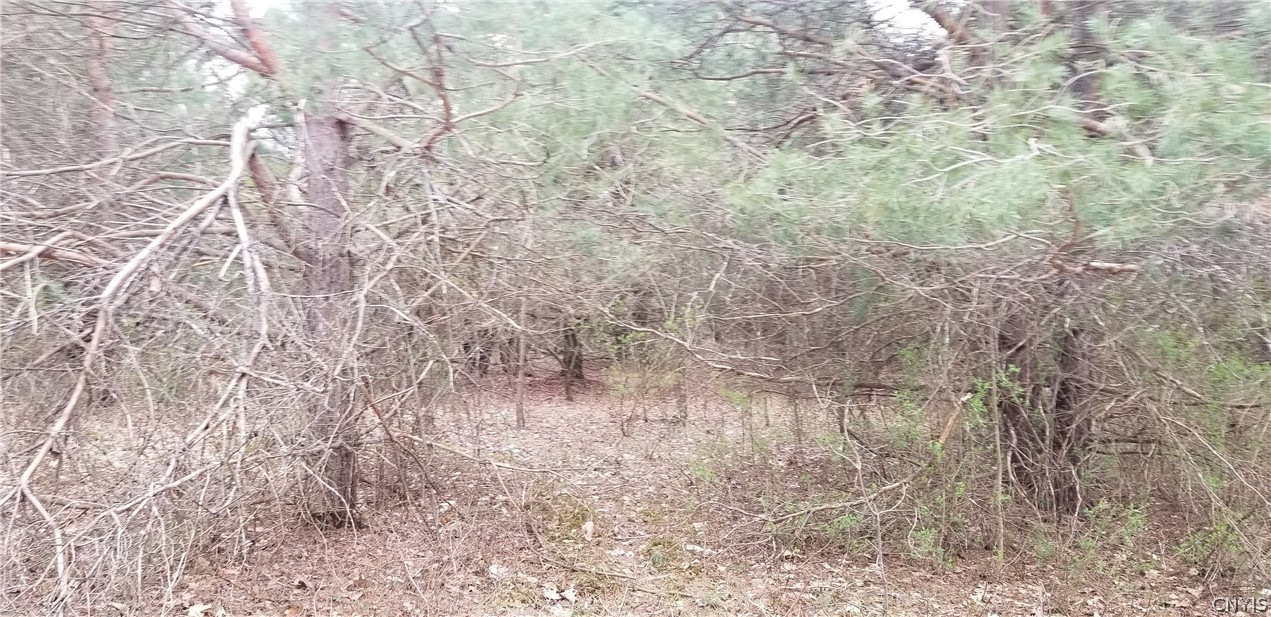 0 Doolittle Road Lockwood, NY 14859 - Photo 27 of 37