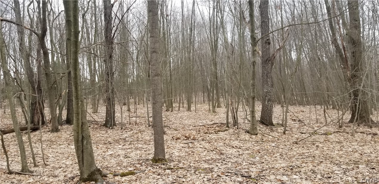 0 Doolittle Road Lockwood, NY 14859 - Photo 31 of 37