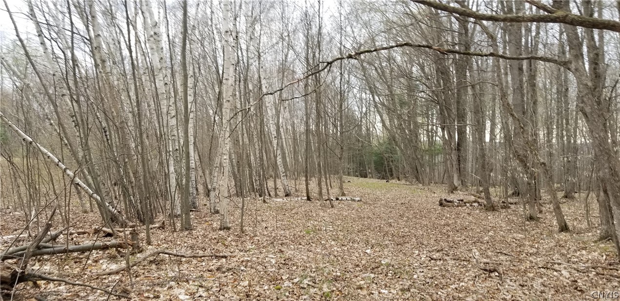 0 Doolittle Road Lockwood, NY 14859 - Photo 32 of 37