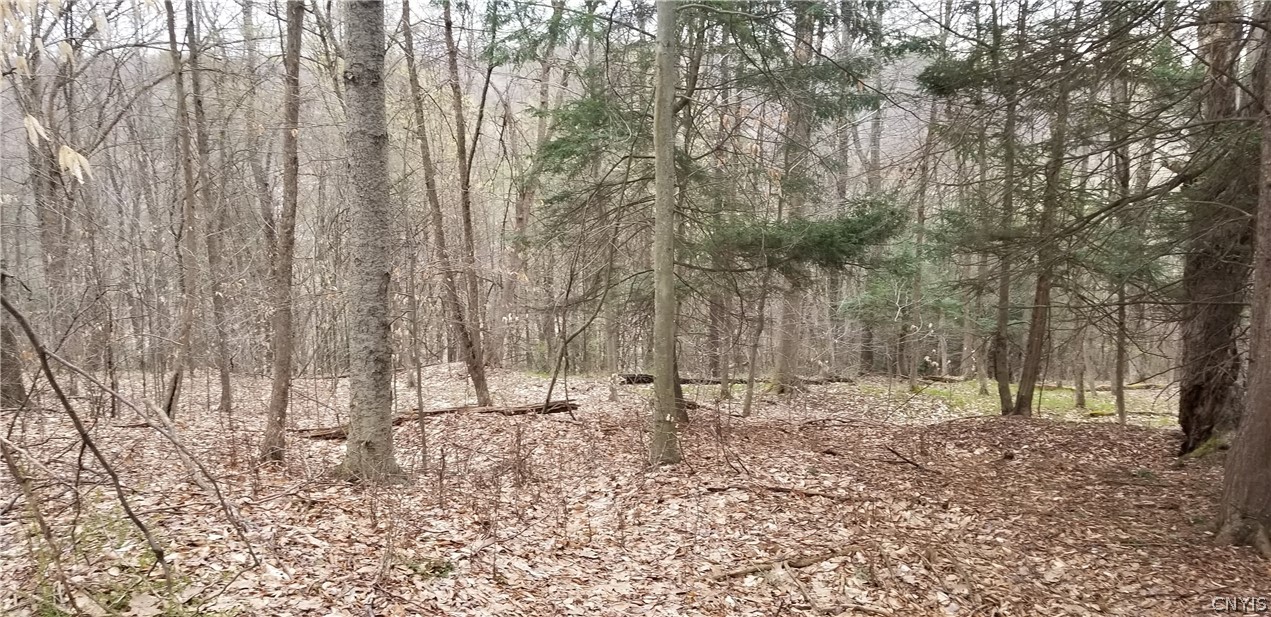 0 Doolittle Road Lockwood, NY 14859 - Photo 33 of 37