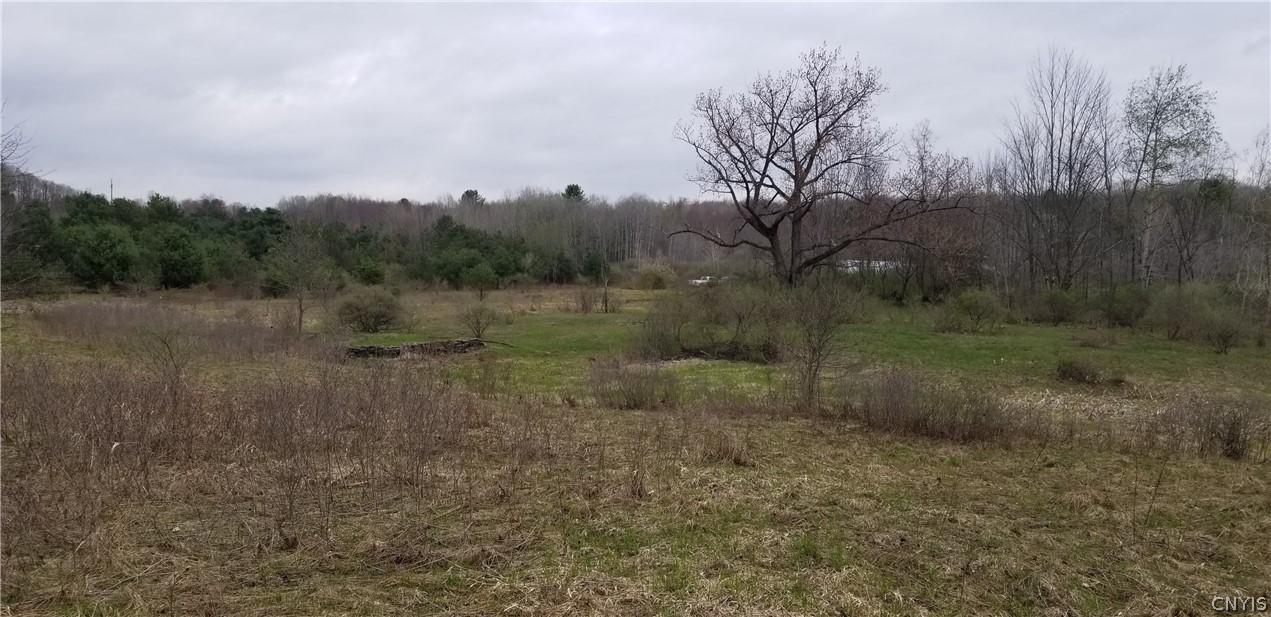 0 Doolittle Road Lockwood, NY 14859 - Photo 34 of 37