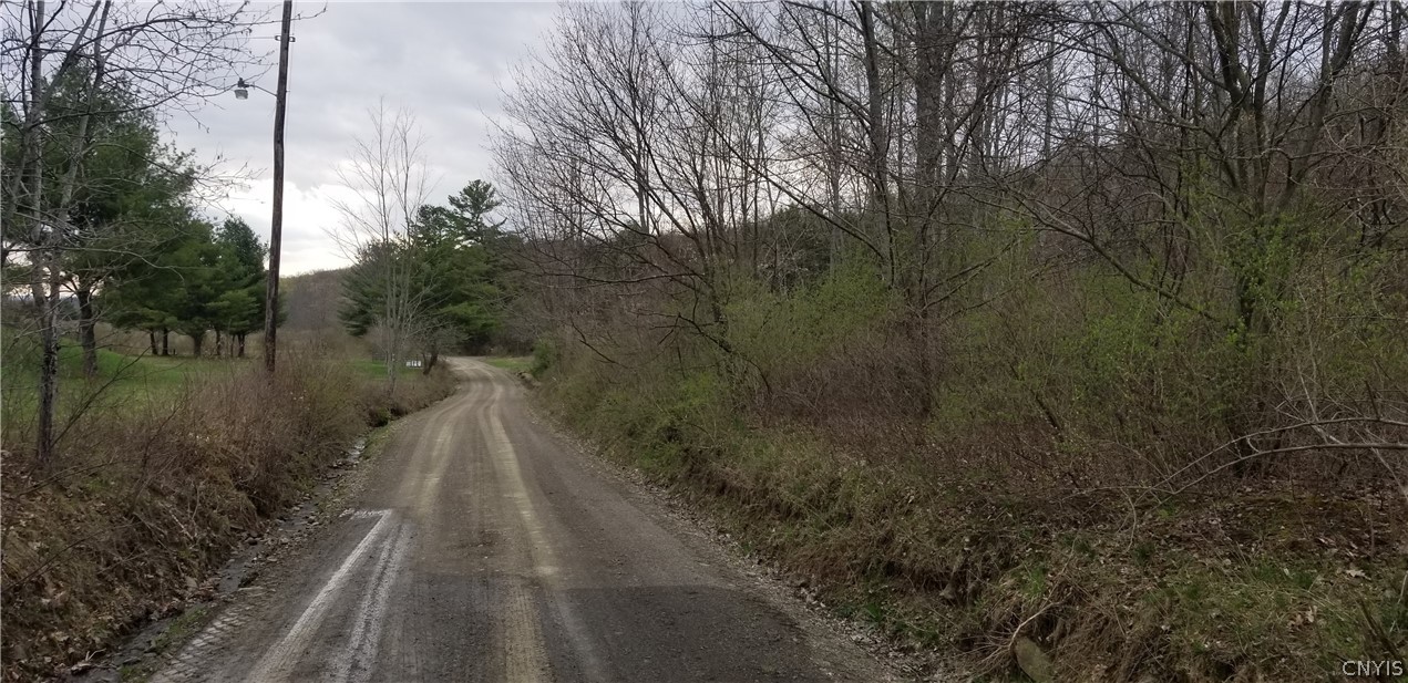0 Doolittle Road Lockwood, NY 14859 - Photo 35 of 37