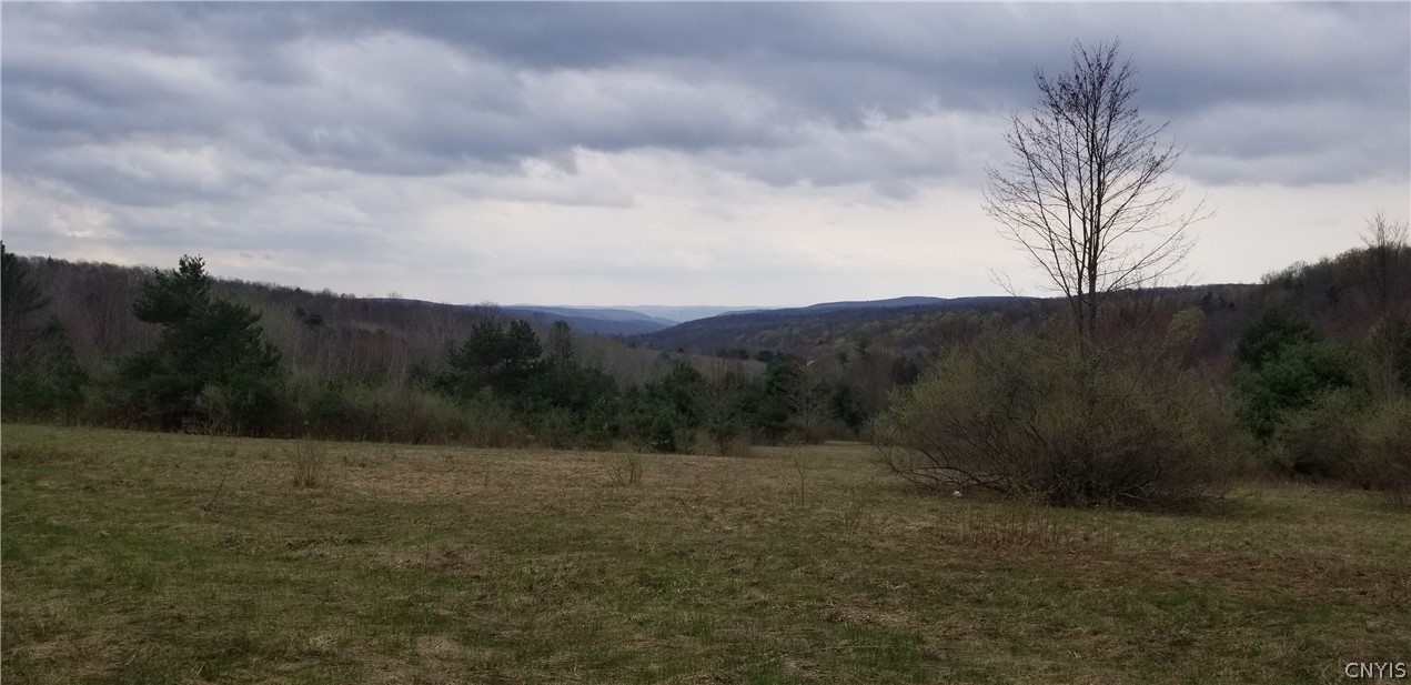 0 Doolittle Road Lockwood, NY 14859 - Photo 4 of 37