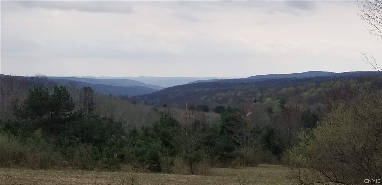 0 Doolittle Road Lockwood, NY 14859 - Photo 5 of 37