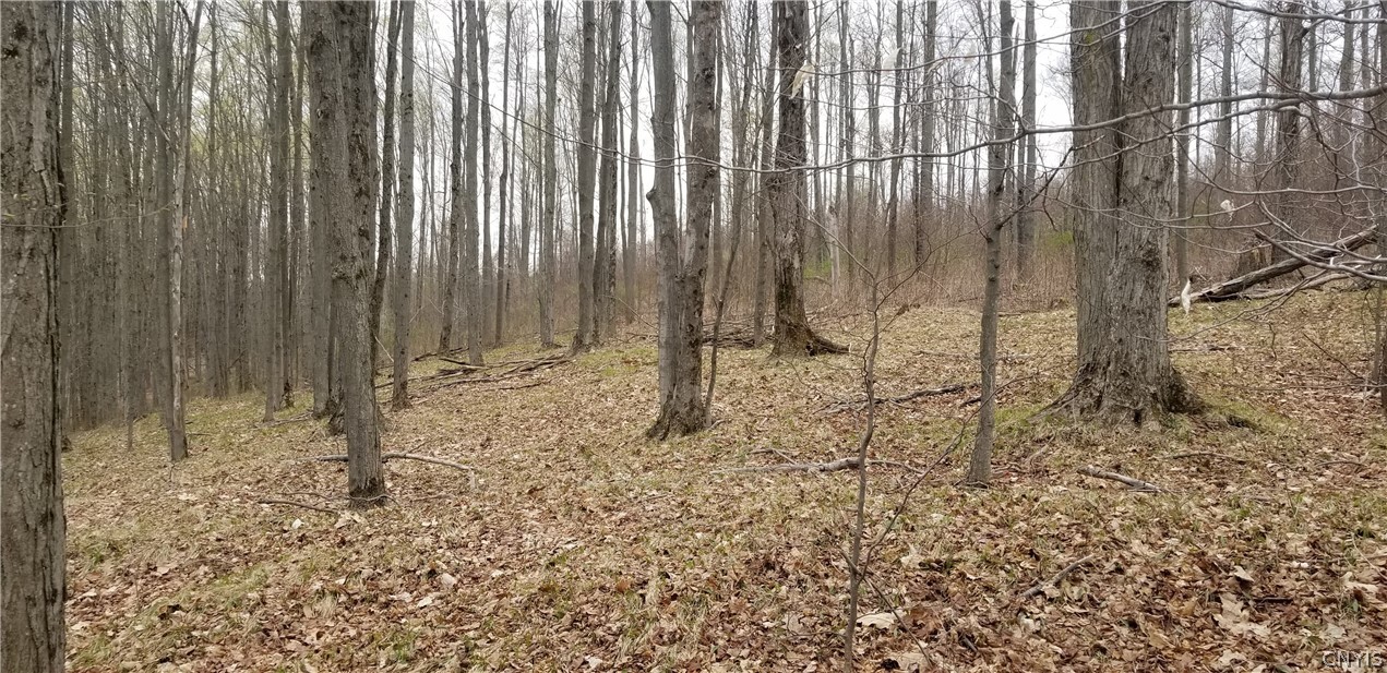 0 Doolittle Road Lockwood, NY 14859 - Photo 6 of 37