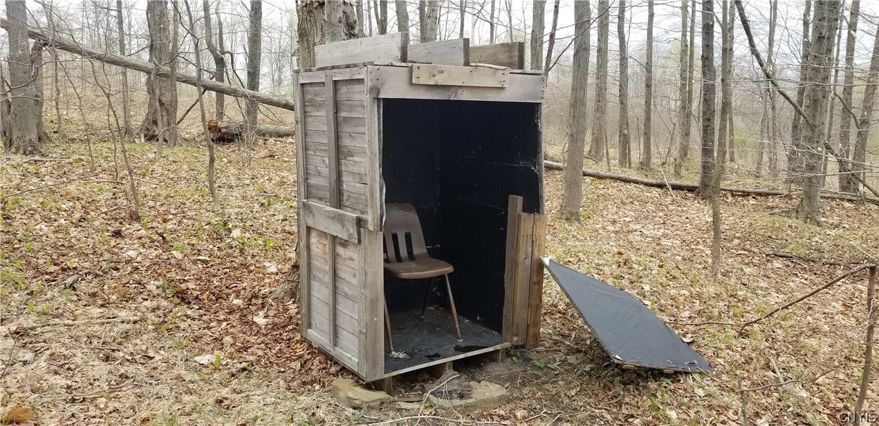 0 Doolittle Road Lockwood, NY 14859 - Photo 7 of 37