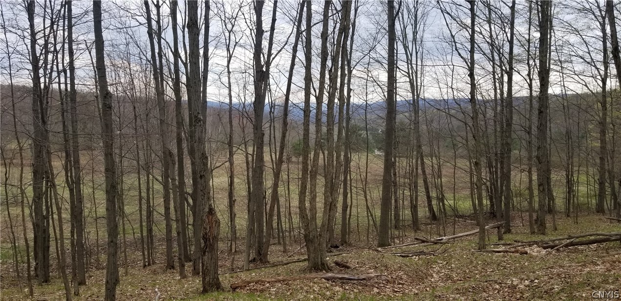 0 Doolittle Road Lockwood, NY 14859 - Photo 8 of 37