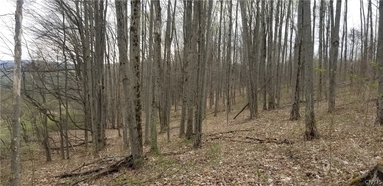 0 Doolittle Road Lockwood, NY 14859 - Photo 10 of 37