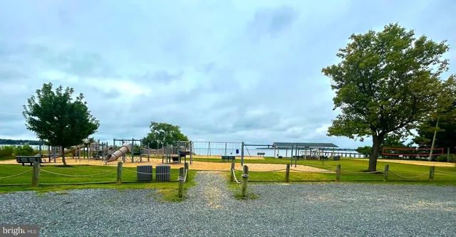 a view of swimming pool and trees in the background