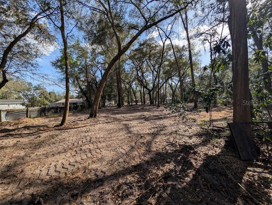 Northeast 36th Street Ocala, FL 34479 - Photo 5 of 16 a view of outdoor space with trees