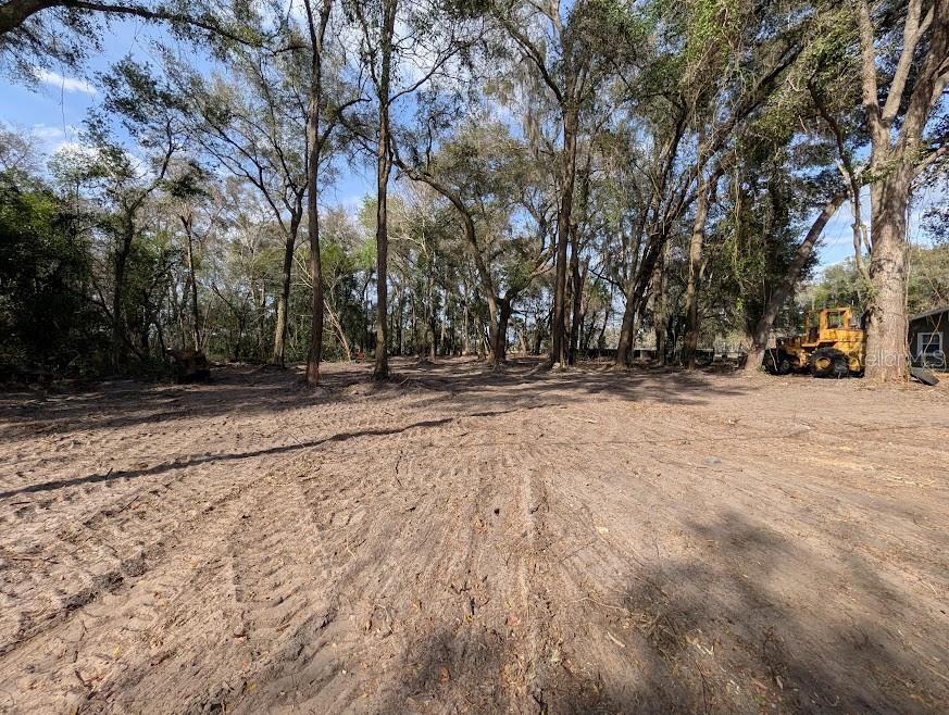 Northeast 36th Street Ocala, FL 34479 - Photo 7 of 16 a view of dirt field with trees in the background