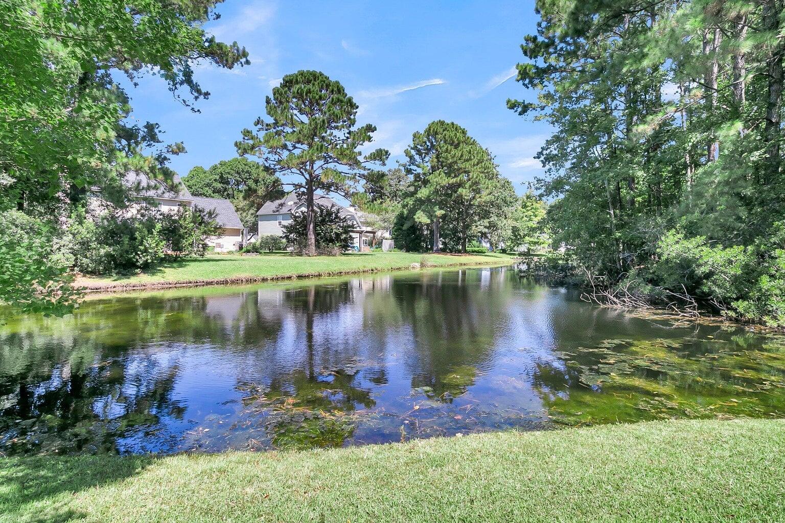 2724 Merwether Lane Mount Pleasant, SC 29466 - Photo 24 of 42 20240905004936279620000000-o
