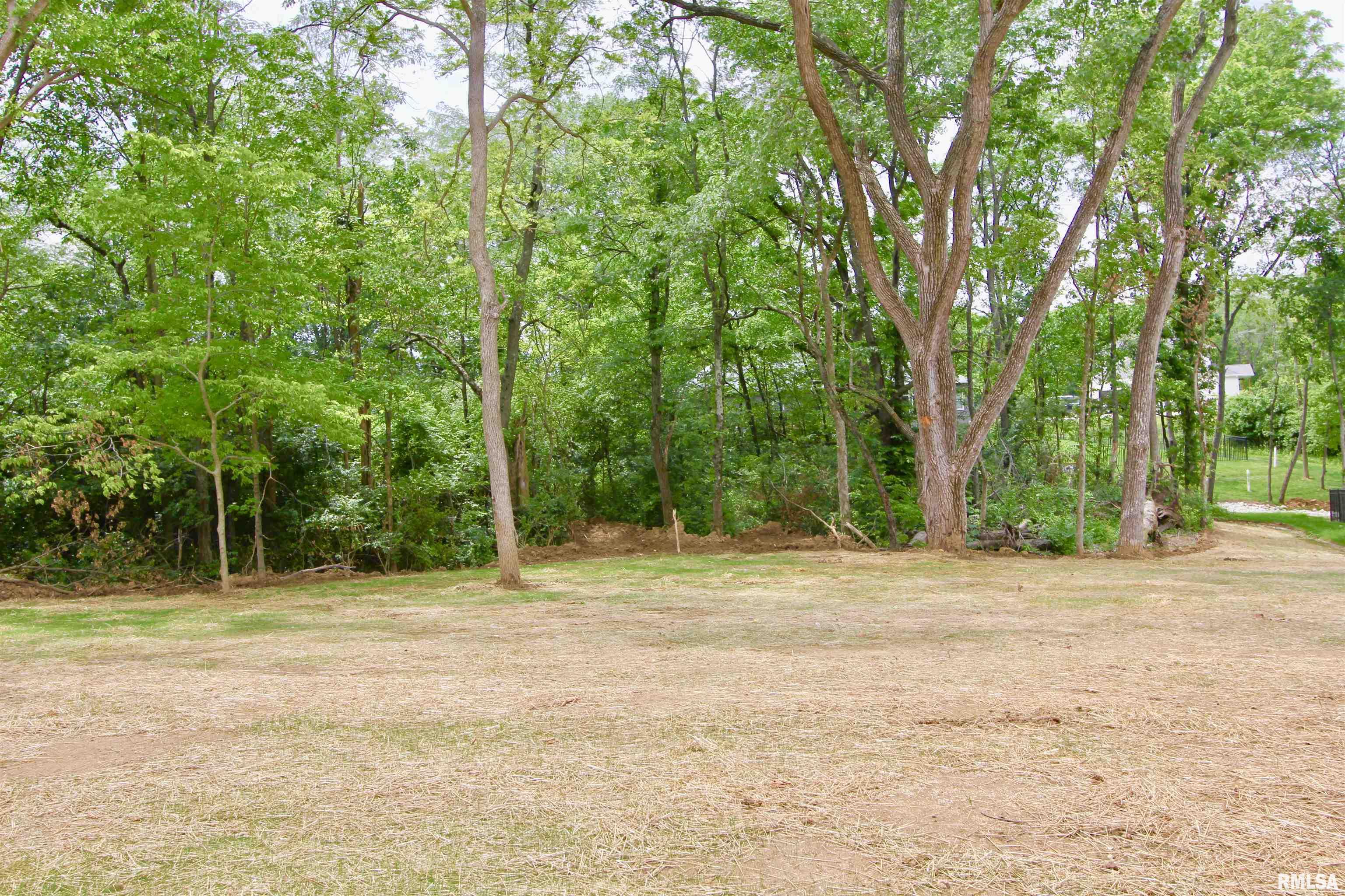 107 Samuel Court Washington, IL 61571 - Photo 85 of 90