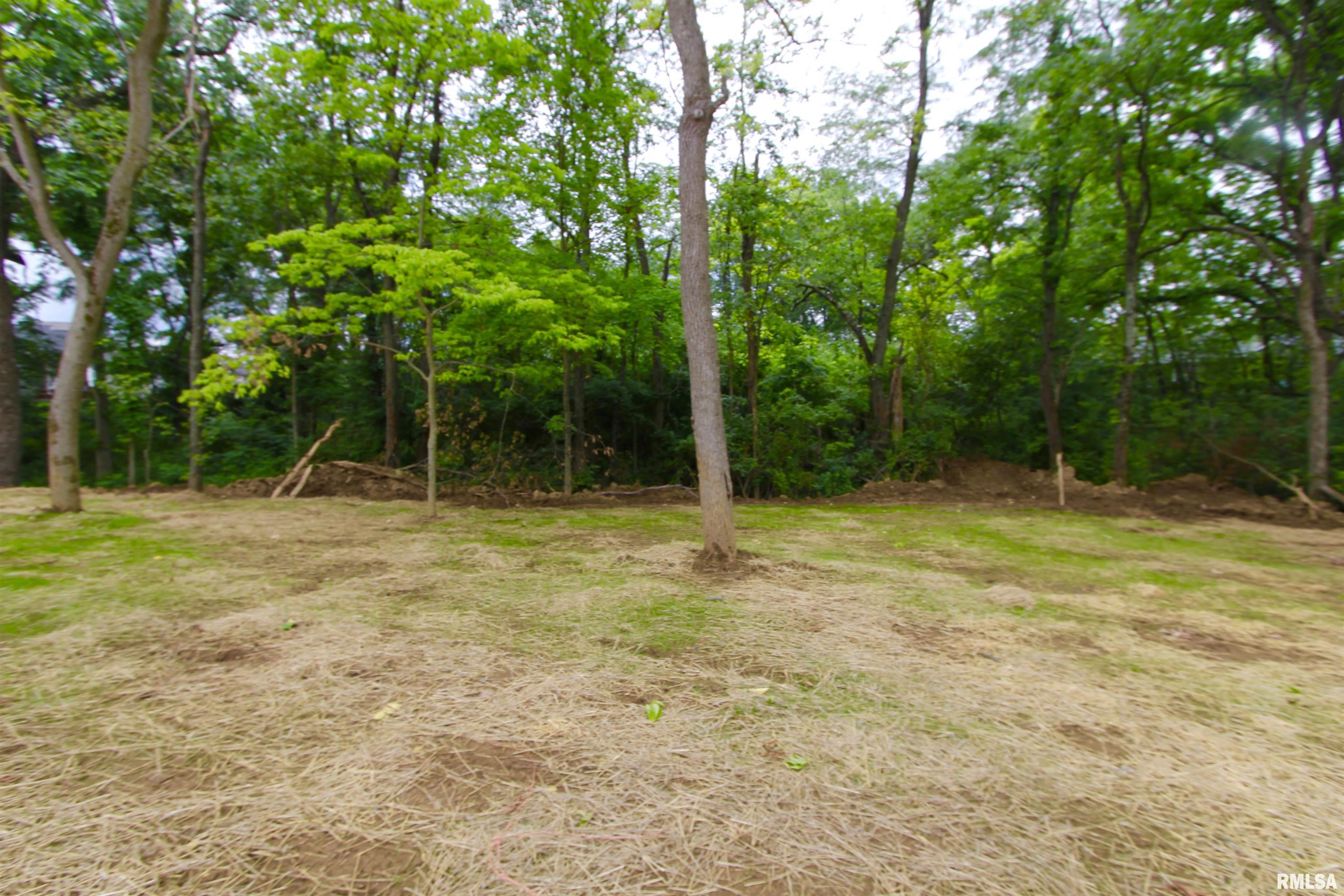 107 Samuel Court Washington, IL 61571 - Photo 87 of 90