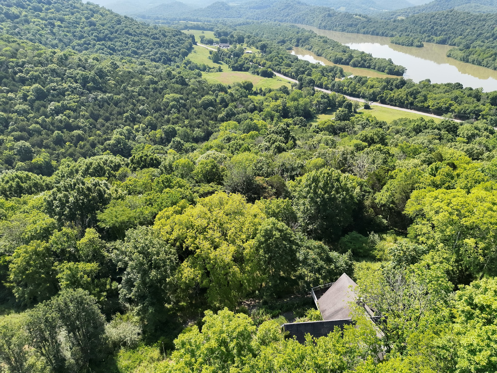 200 Rough Point Lane Whitleyville, TN 38588 - Photo 51 of 57 Gallery Image 51