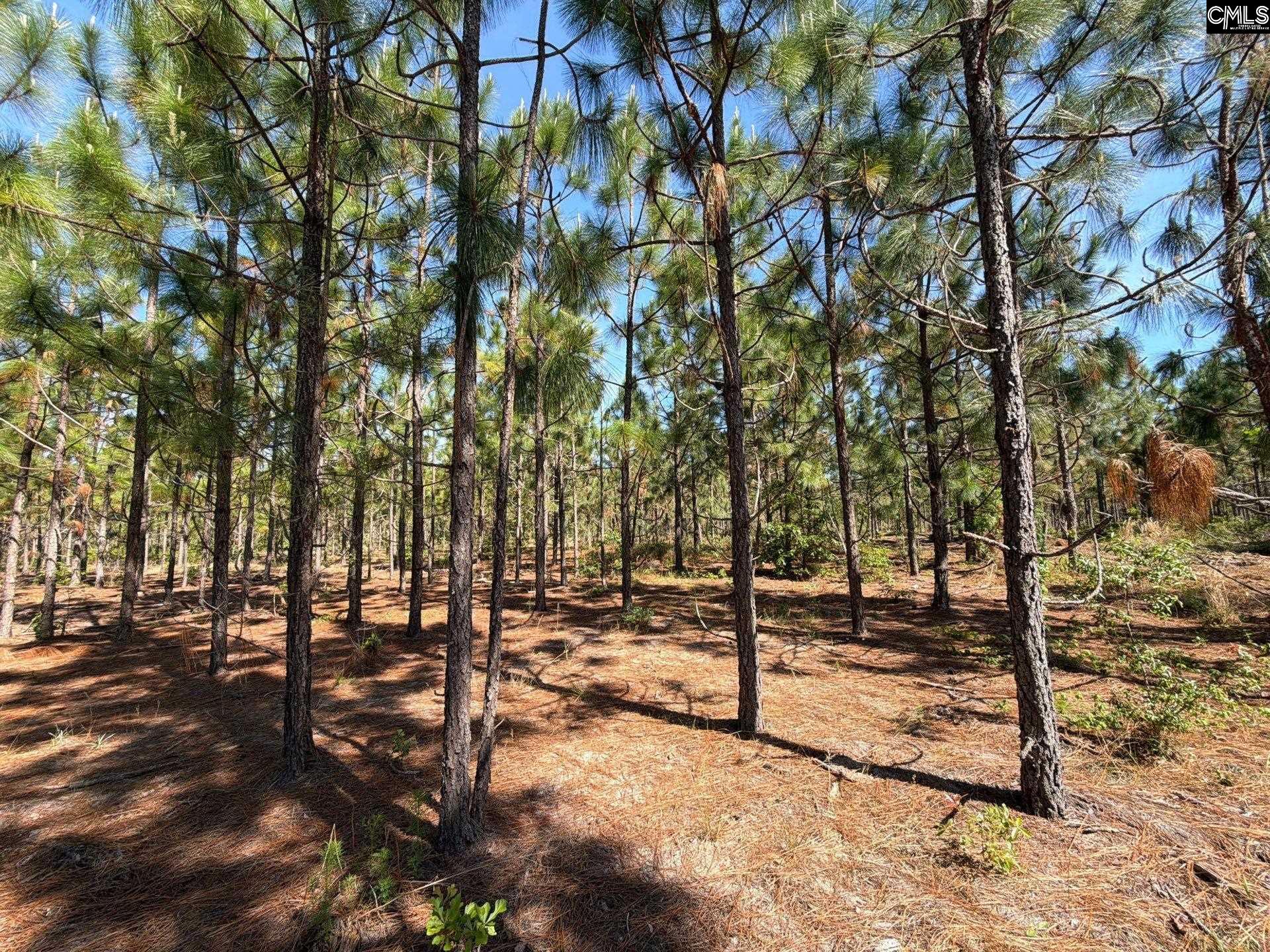 4 Holstein Road Monetta, SC 29105 - Photo 2 of 12
