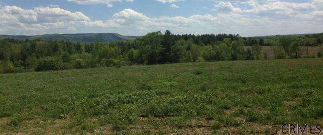 80 Lewis Road Pittstown, NY 12094 - Photo 15 of 15 Photo 15