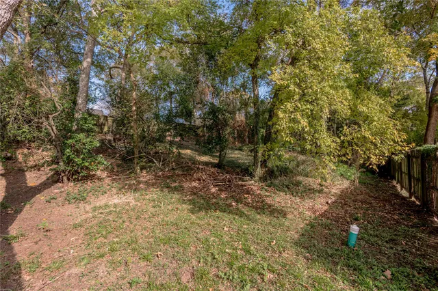 a view of a yard with plants and trees