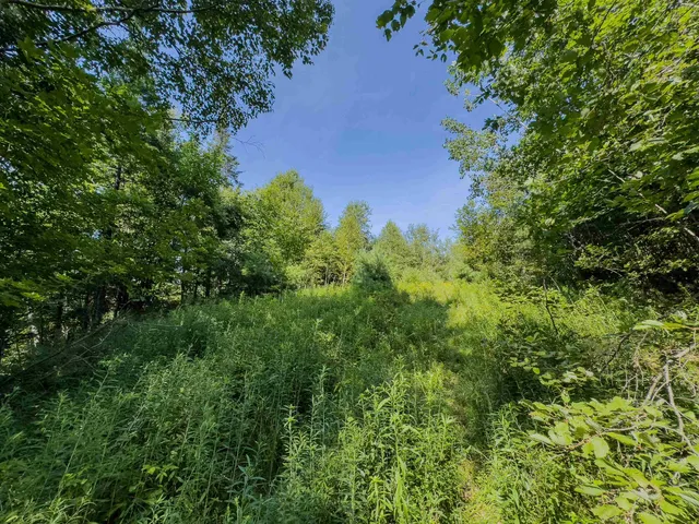 $349,900 | 0 Brushwood Road, Unit 104, Pike, NH 03780