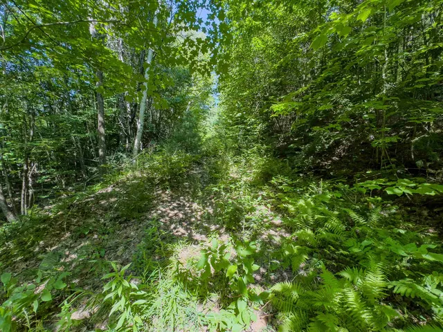 $349,900 | 0 Brushwood Road, Unit 104, Pike, NH 03780