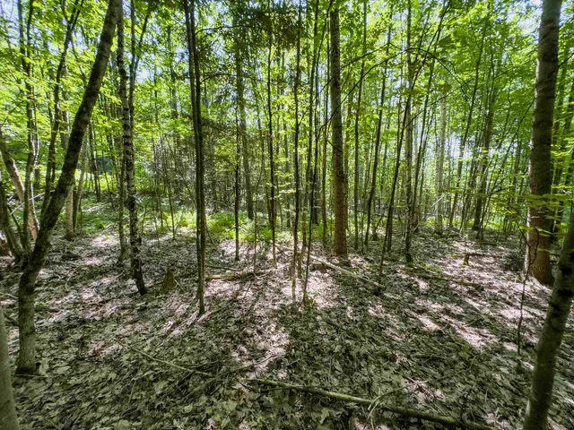 $349,900 | 0 Brushwood Road, Unit 104, Pike, NH 03780