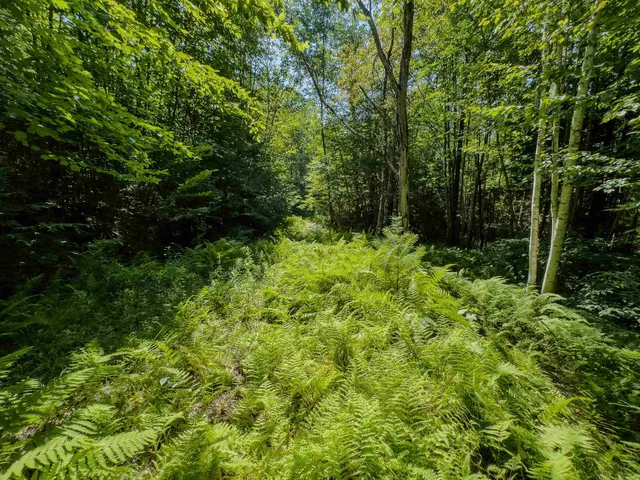 $349,900 | 0 Brushwood Road, Unit 104, Pike, NH 03780