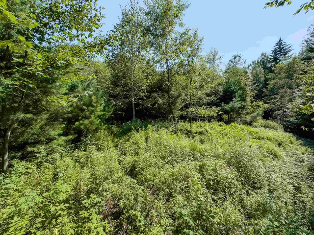 $349,900 | 0 Brushwood Road, Unit 104, Pike, NH 03780