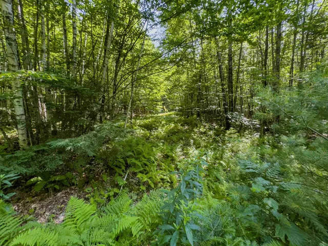 $349,900 | 0 Brushwood Road, Unit 104, Pike, NH 03780