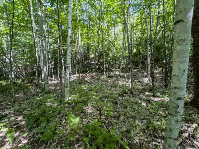 $349,900 | 0 Brushwood Road, Unit 104, Pike, NH 03780