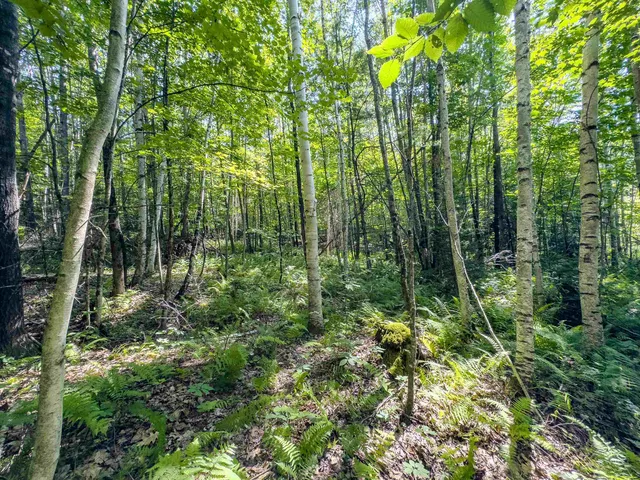 $349,900 | 0 Brushwood Road, Unit 104, Pike, NH 03780