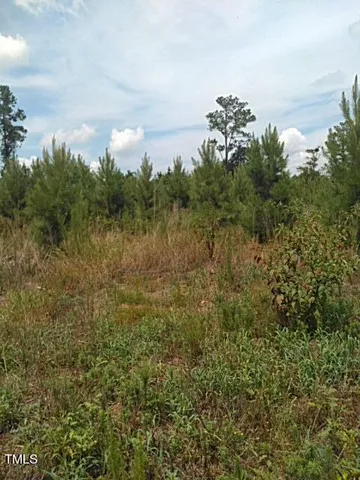 a view of a bunch of trees in a field