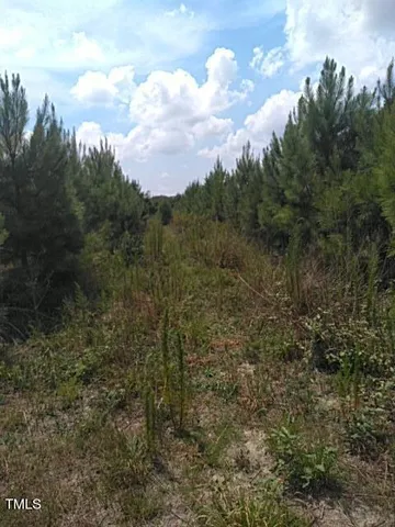 a view of a city with lush green forest