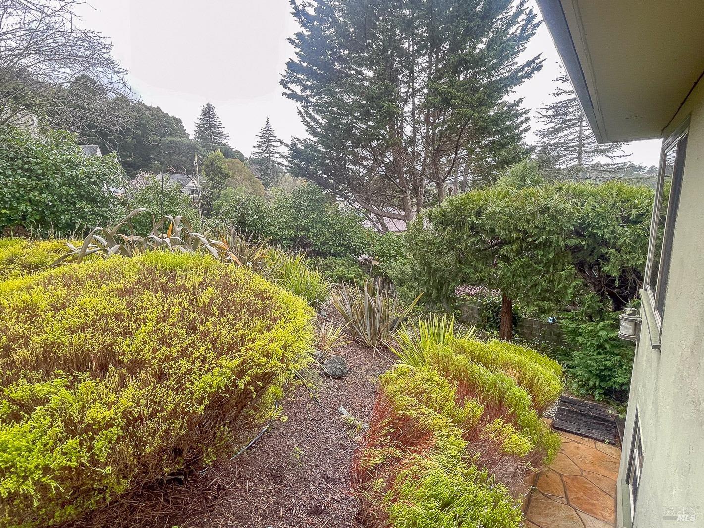 112 Reed Boulevard Mill Valley, CA 94941 - Photo 36 of 39 a view of a yard with plants