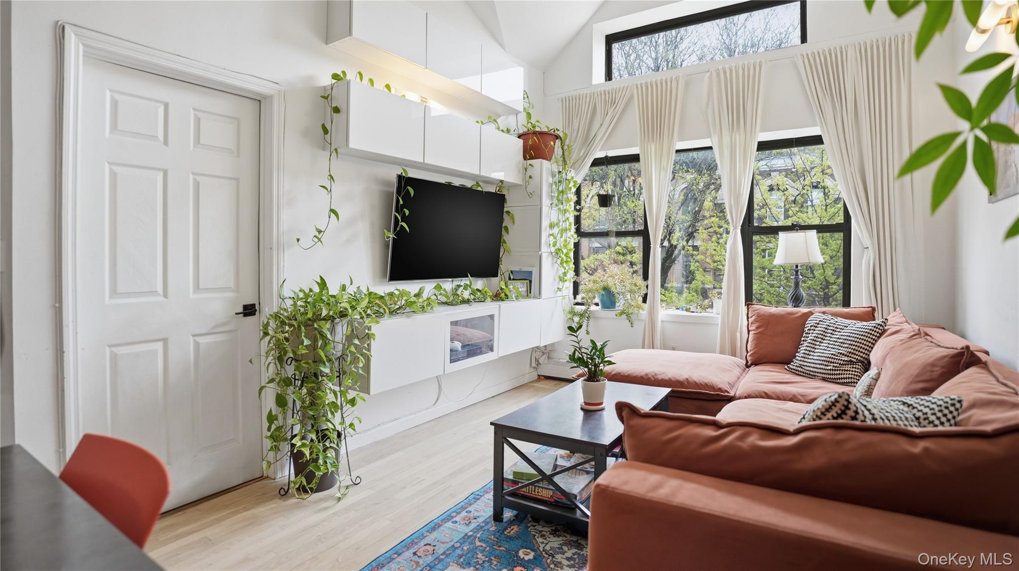 253 Cornelia Street Brooklyn, NY 11221 - Photo 13 of 36 a living room with furniture a flat screen tv and a potted plant