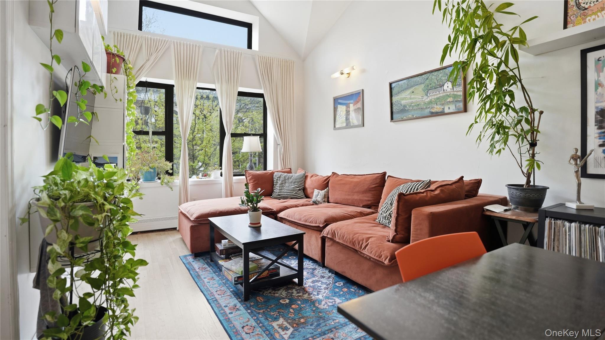 253 Cornelia Street Brooklyn, NY 11221 - Photo 14 of 36 a living room with patio furniture and a potted plant
