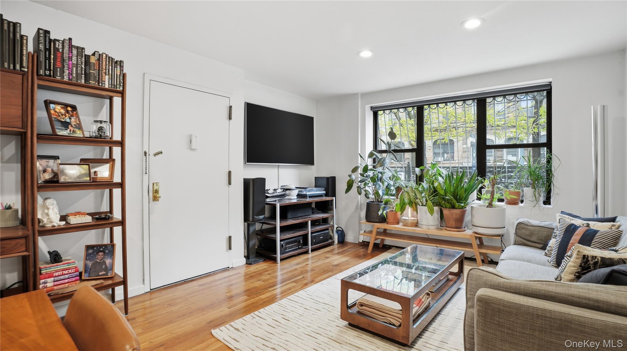 253 Cornelia Street Brooklyn, NY 11221 - Photo 23 of 36 a living room with furniture and a flat screen tv