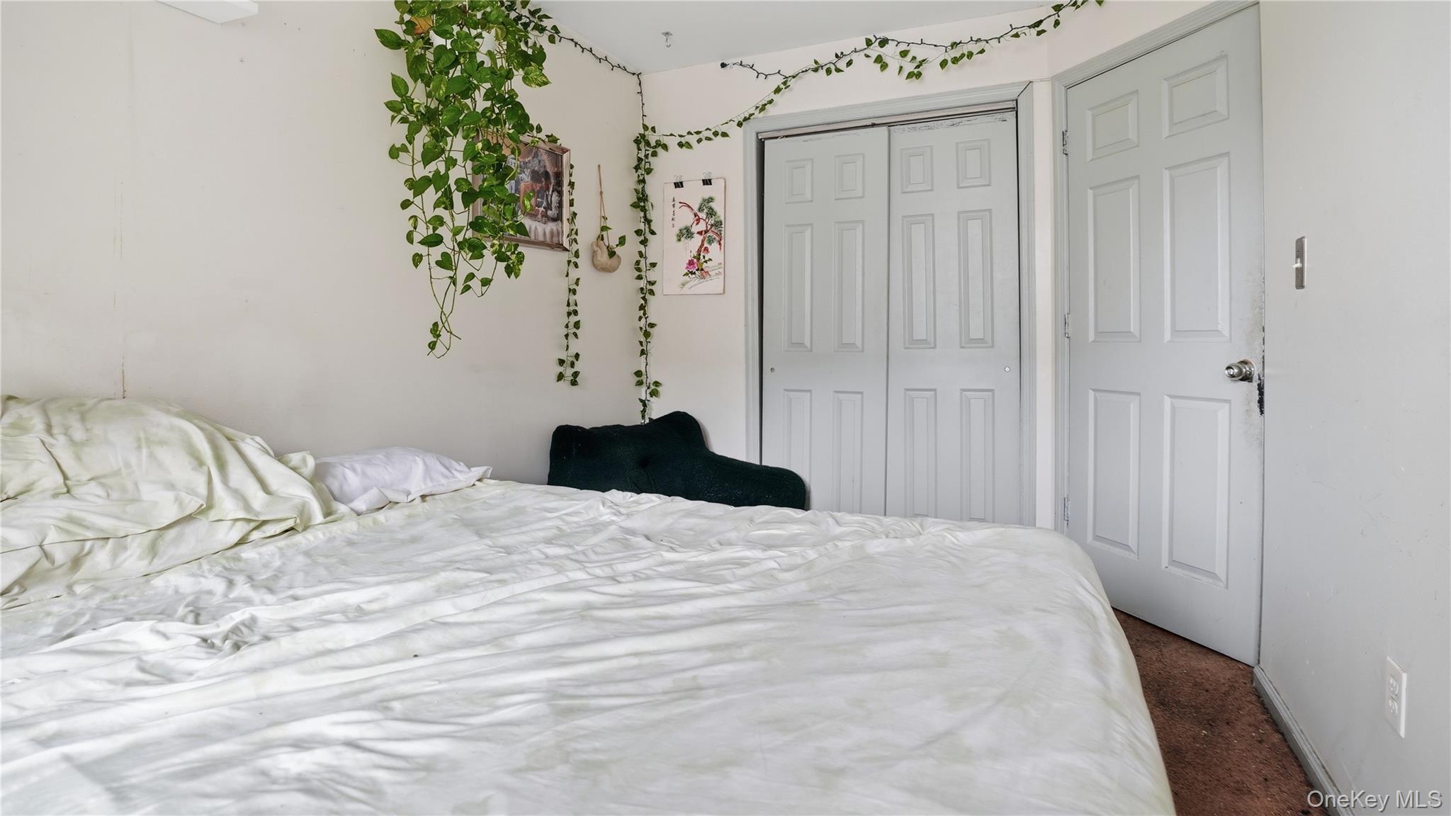 253 Cornelia Street Brooklyn, NY 11221 - Photo 28 of 36 a bedroom with a bed and a plant