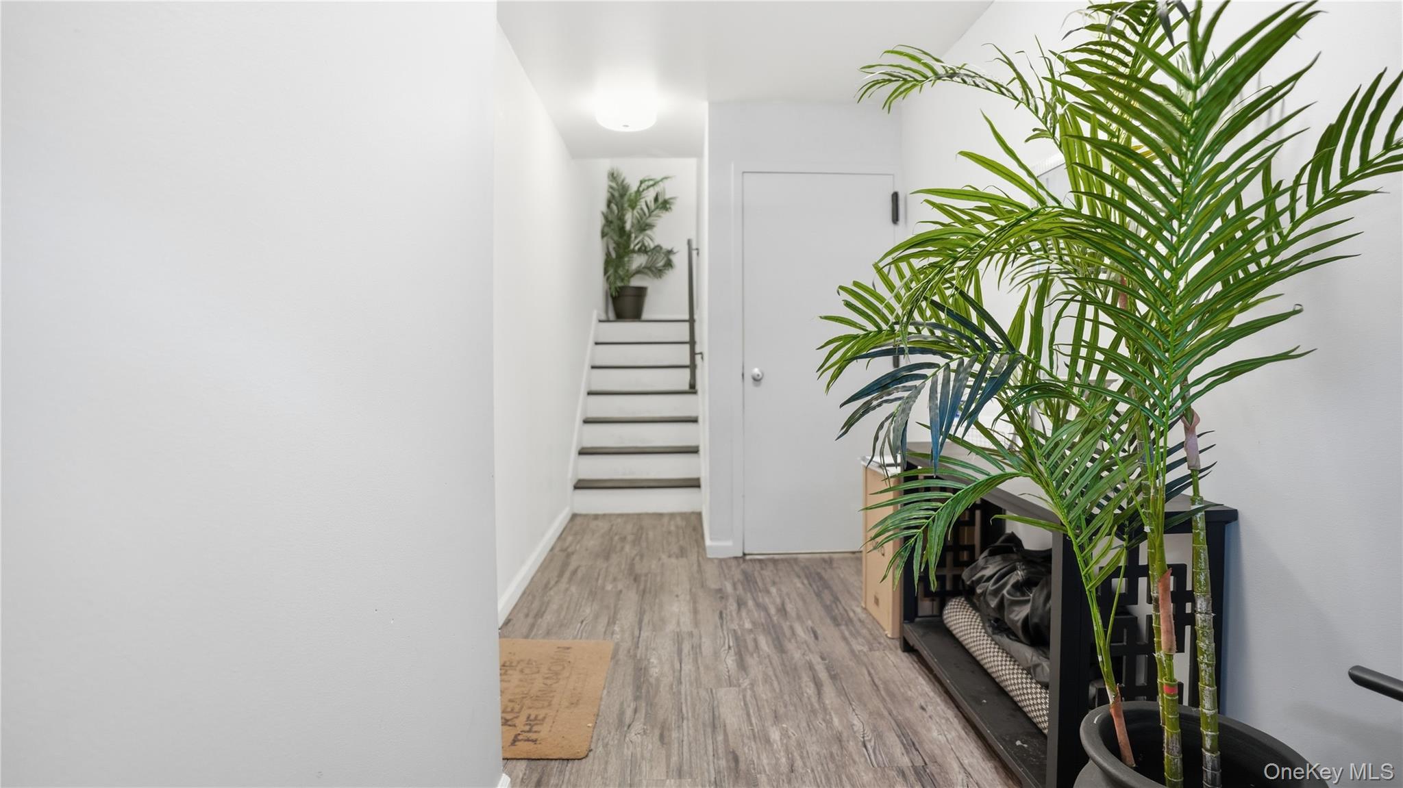 253 Cornelia Street Brooklyn, NY 11221 - Photo 9 of 36 a view of a room with wooden floor and a potted plant