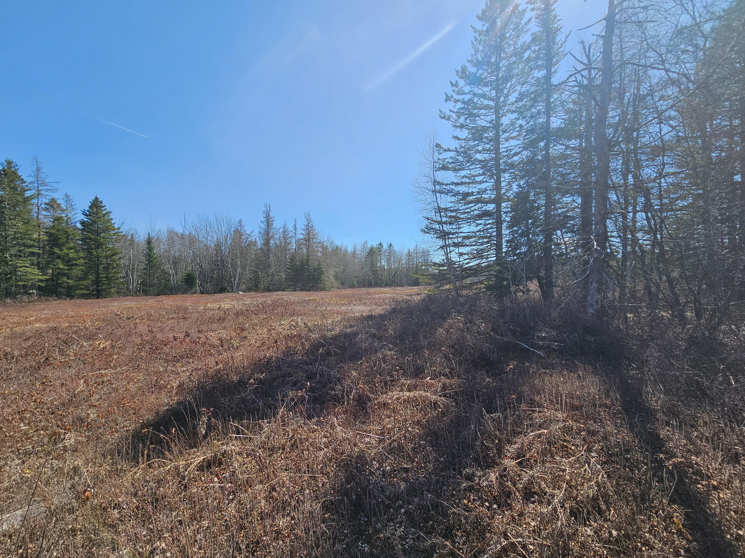 83 Willey District Road Harrington, ME 04643 - Photo 54 of 66 20260414_143801