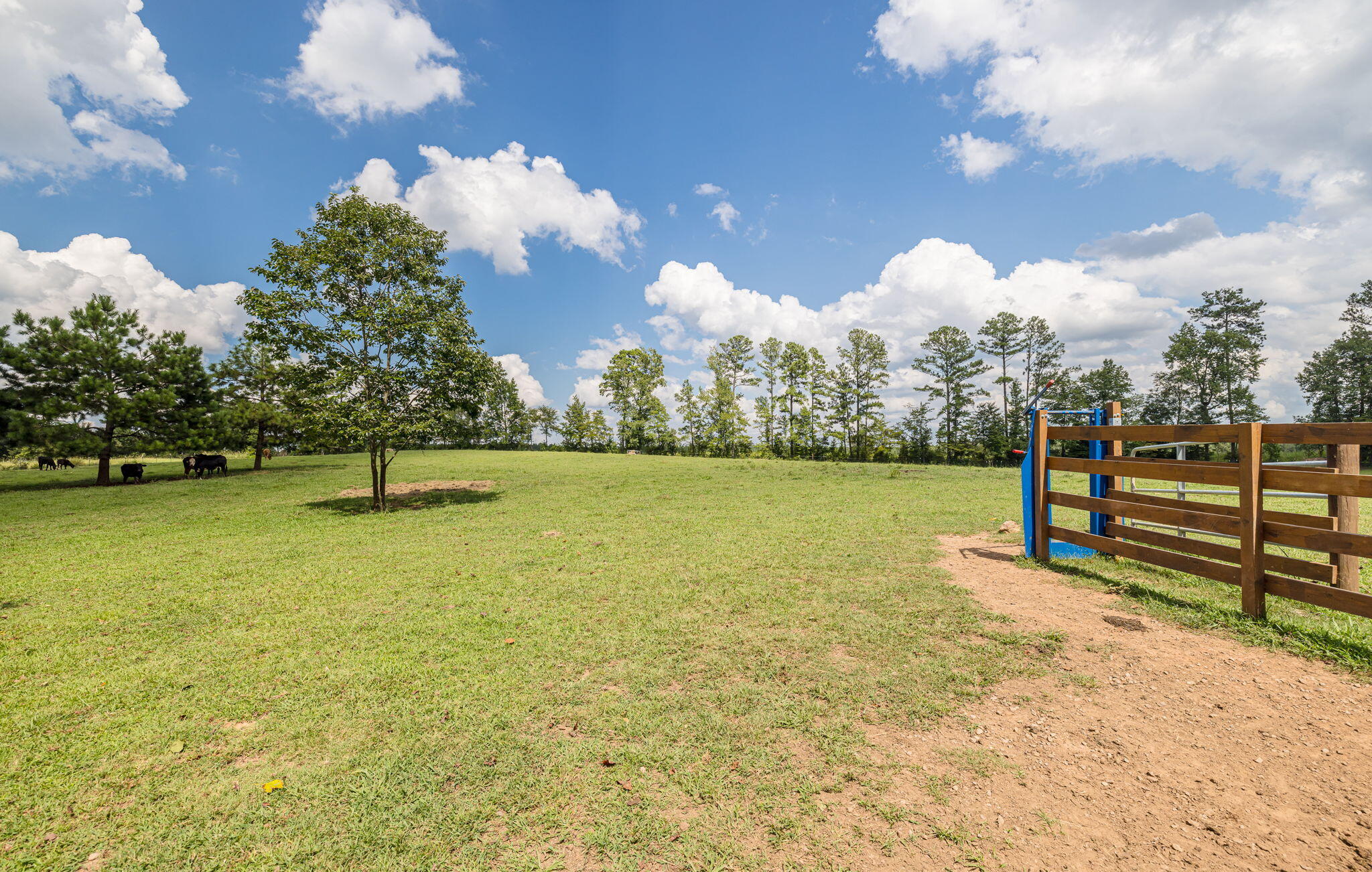 238 Meeting Street Road Edgefield, SC 29824 - Photo 2 of 65 paddock
