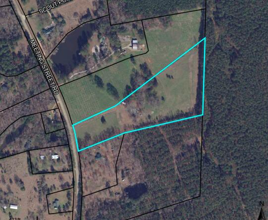 238 Meeting Street Road Edgefield, SC 29824 - Photo 21 of 65 Acreage with pastures ready for horses, cows, lambs, and more!