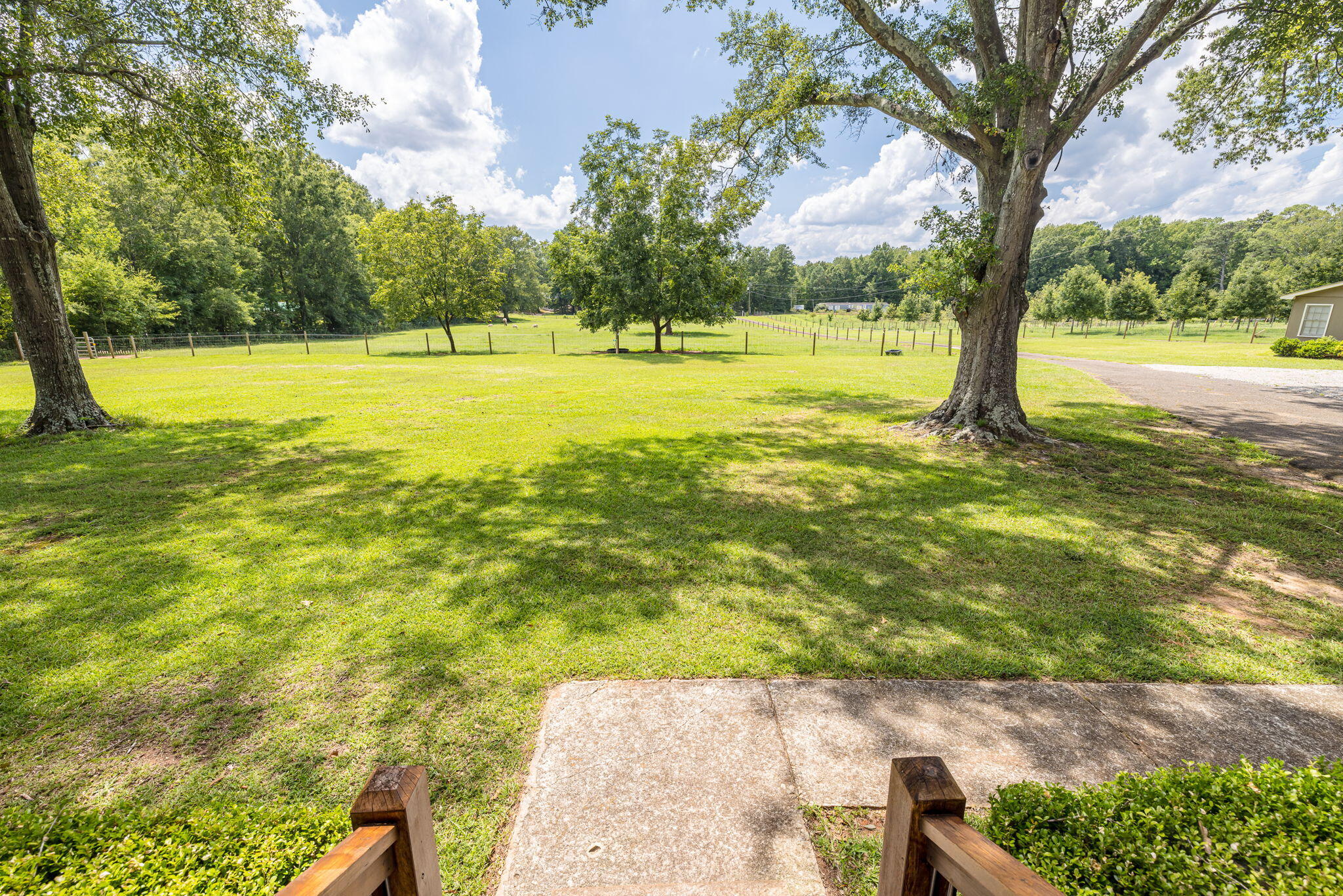 238 Meeting Street Road Edgefield, SC 29824 - Photo 29 of 65 View from the front porch!