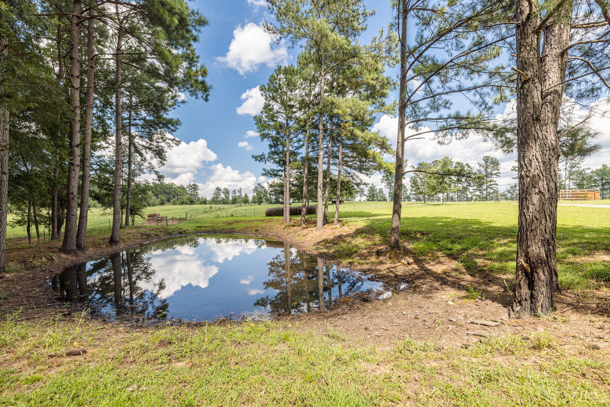 238 Meeting Street Road Edgefield, SC 29824 - Photo 3 of 65 pond