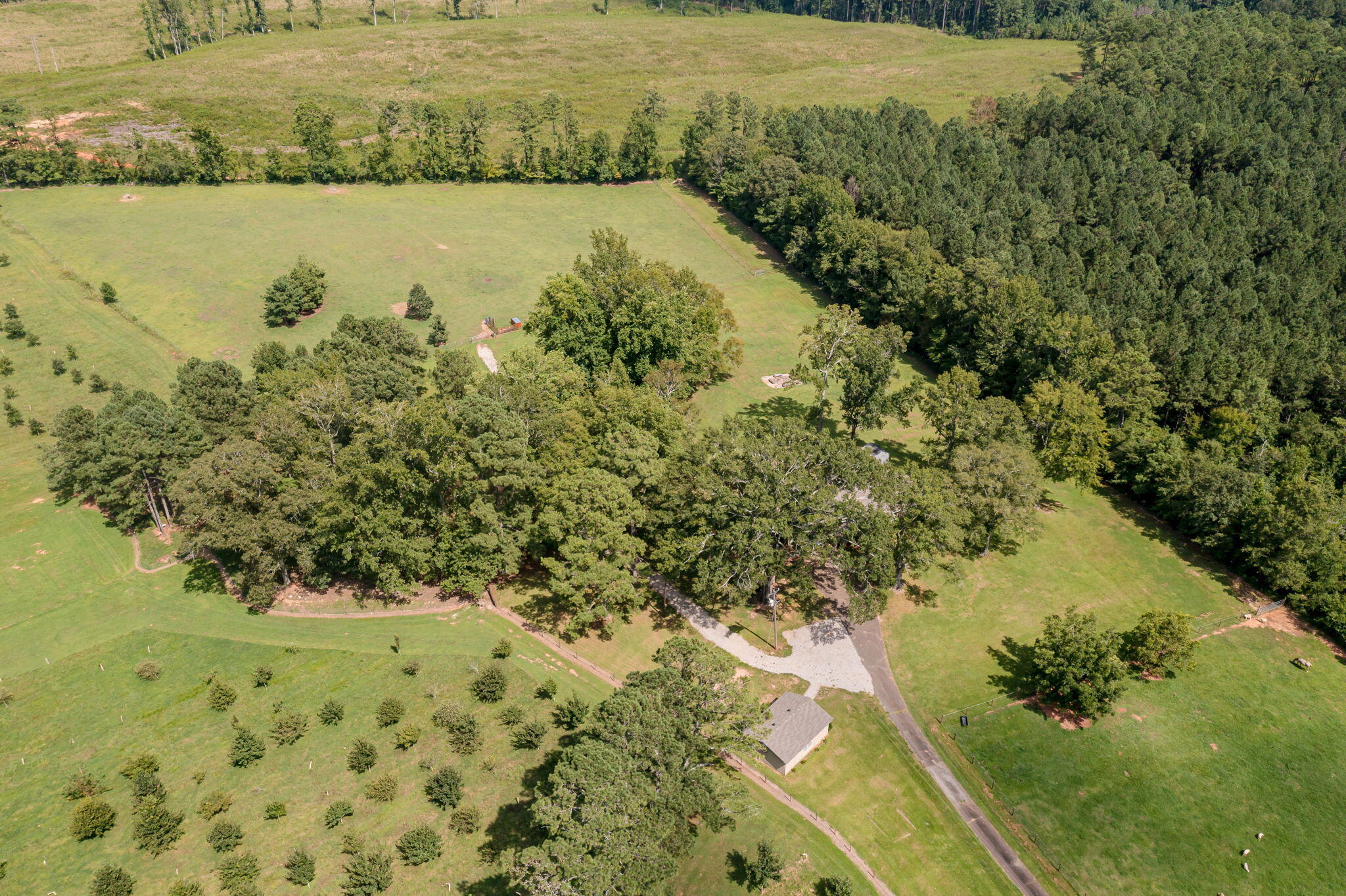 238 Meeting Street Road Edgefield, SC 29824 - Photo 50 of 65 Beautiful countryside all around!