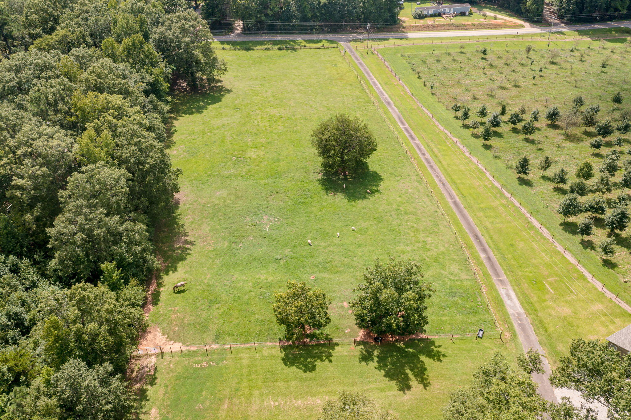 238 Meeting Street Road Edgefield, SC 29824 - Photo 55 of 65 238MeetingStRd_74
