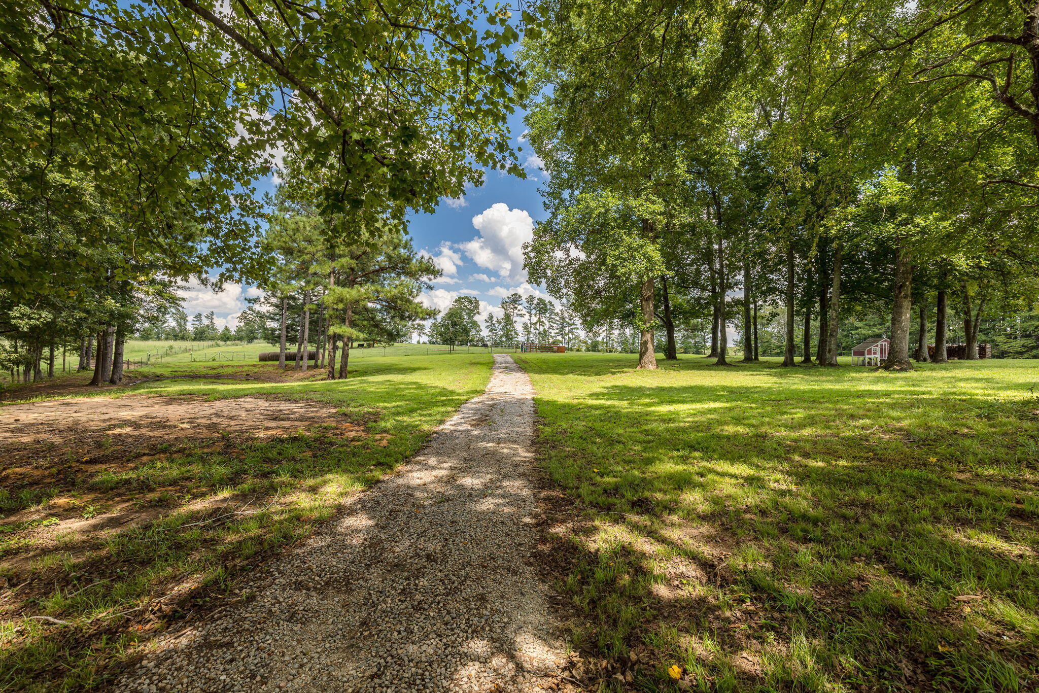 238 Meeting Street Road Edgefield, SC 29824 - Photo 8 of 65 trees