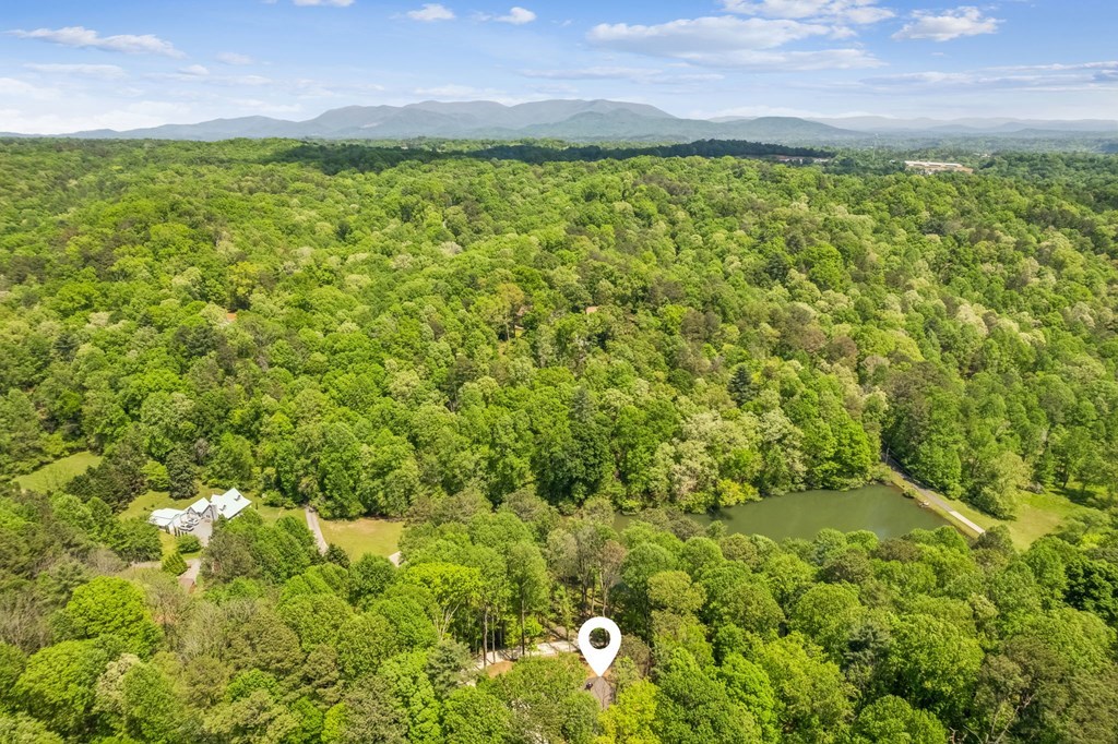 245 Timberwalk Drive Ellijay, GA 30540 - Photo 2 of 56 a view of a big yard with lots of bushes