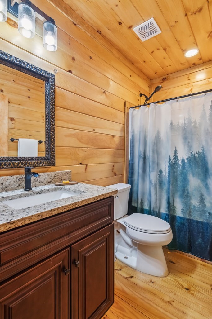 245 Timberwalk Drive Ellijay, GA 30540 - Photo 29 of 56 a bathroom with a granite countertop toilet sink and a mirror