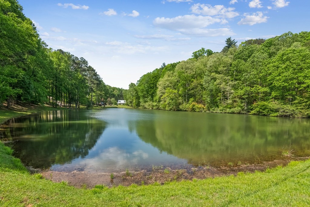 245 Timberwalk Drive Ellijay, GA 30540 - Photo 49 of 56 a view of a lake with a yard and a large tree